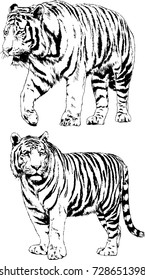 set of vector drawings on the theme of predators are drawn by hand with ink tattoo logos
