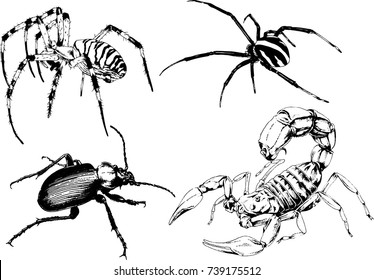 set of vector drawings on the theme of insects drawn in ink by hand without a background