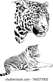 set of vector drawings on the theme of predators are drawn by hand with ink tattoo logos