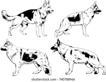 set of vector drawings on the theme of dogs of different breeds hand-drawn ink sketch