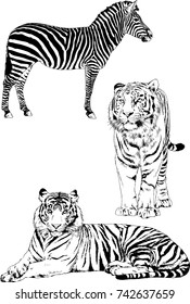 set of vector drawings on the theme of animals painted in ink by hand without a background