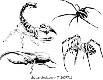 set of vector drawings on the theme of insects drawn in ink by hand without a background
