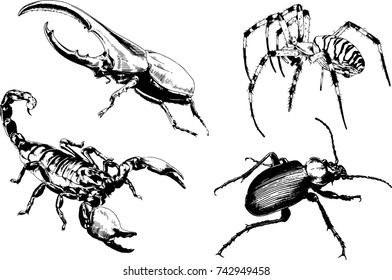 set of vector drawings on the theme of insects drawn in ink by hand without a background