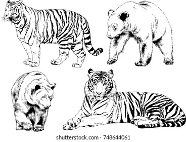 set of vector drawings on the theme of predators tigers are drawn by hand with ink tattoo logos