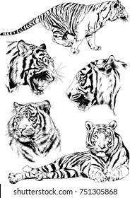 set of vector drawings on the theme of predators tigers are drawn by hand with ink tattoo logos
