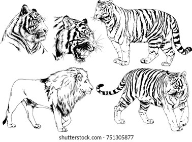 set of vector drawings on the theme of predators tigers are drawn by hand with ink tattoo logos