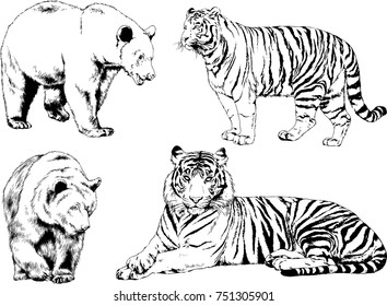 set of vector drawings on the theme of predators tigers are drawn by hand with ink tattoo logos