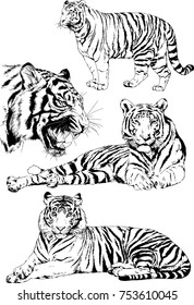 set of vector drawings on the theme of predators tigers are drawn by hand with ink tattoo logos