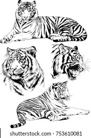 set of vector drawings on the theme of predators tigers are drawn by hand with ink tattoo logos