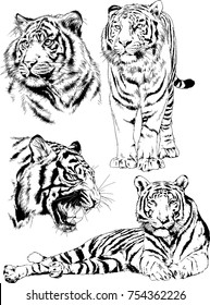set of vector drawings on the theme of predators tigers are drawn by hand with ink tattoo logos