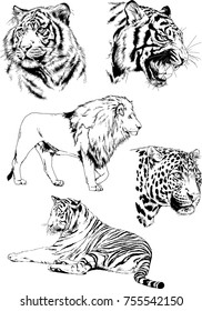 set of vector drawings on the theme of predators cats are drawn by hand with ink tattoo logos