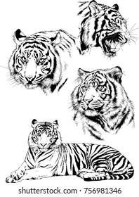 set of vector drawings on the theme of predators cats are drawn by hand with ink tattoo logos