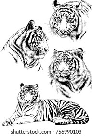set of vector drawings on the theme of predators cats are drawn by hand with ink tattoo logos