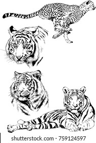 set of vector drawings on the theme of predators cats are drawn by hand with ink tattoo logos