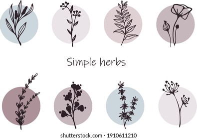 set of vector drawings of plants, flowers and leaves, in a modern minimalist style