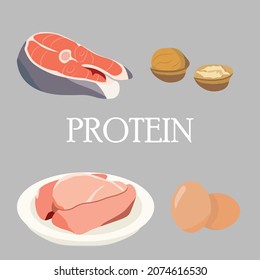 Set of vector drawings protein-containing food. icons of nuts, walnuts, chicken fillet, salmon, salmon steak, eggs. Colored flat vector illustration of fat eating isolated on white background