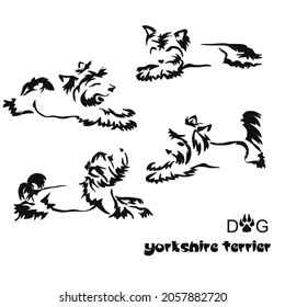 Set of vector drawings of stretching yorkshire terrier. Gestalt design of funny pets. Image of a lying dog in different poses