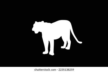 Set of vector drawings in the style of tiger silhouette. tiger logo