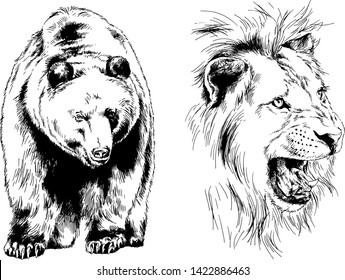 set of vector drawings of various animals, predators and herbivores, hand-drawn sketches, tattoos