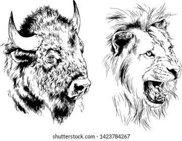 set of vector drawings of various animals, predators and herbivores, hand-drawn sketches, tattoos