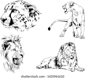 set of vector drawings of various animals, predators and herbivores, hand-drawn sketches, tattoos
