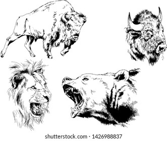 set of vector drawings of various animals, predators and herbivores, hand-drawn sketches, tattoos