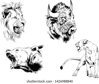 set of vector drawings of various animals, predators and herbivores, hand-drawn sketches, tattoos