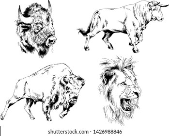 set of vector drawings of various animals, predators and herbivores, hand-drawn sketches, tattoos