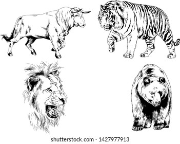 set of vector drawings of various animals, predators and herbivores, hand-drawn sketches, tattoos