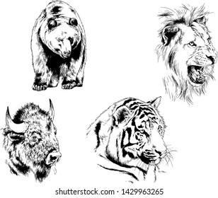 set of vector drawings of various animals, predators and herbivores, hand-drawn sketches, tattoos