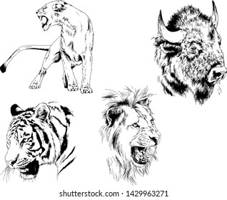 set of vector drawings of various animals, predators and herbivores, hand-drawn sketches, tattoos