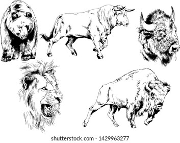 set of vector drawings of various animals, predators and herbivores, hand-drawn sketches, tattoos