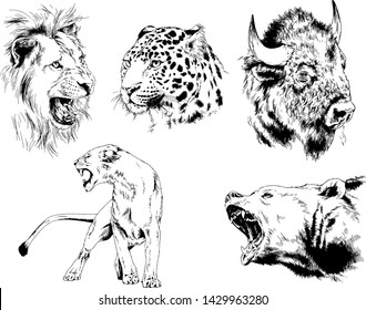 set of vector drawings of various animals, predators and herbivores, hand-drawn sketches, tattoos