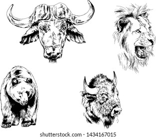 set of vector drawings of various animals, predators and herbivores, hand-drawn sketches, tattoos