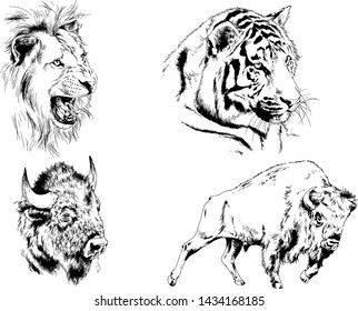 set of vector drawings of various animals, predators and herbivores, hand-drawn sketches, tattoos