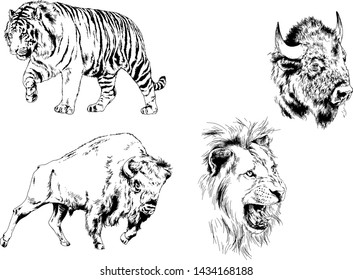 set of vector drawings of various animals, predators and herbivores, hand-drawn sketches, tattoos