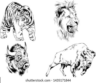 set of vector drawings of various animals, predators and herbivores, hand-drawn sketches, tattoos