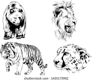 set of vector drawings of various animals, predators and herbivores, hand-drawn sketches, tattoos