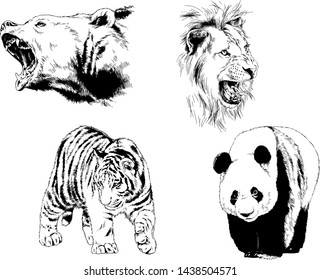 set of vector drawings of various animals, predators and herbivores, hand-drawn sketches, tattoos