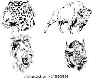set of vector drawings of various animals, predators and herbivores, hand-drawn sketches, tattoos