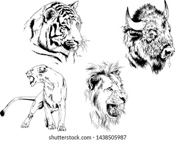 set of vector drawings of various animals, predators and herbivores, hand-drawn sketches, tattoos