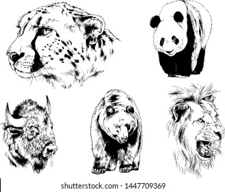 set of vector drawings of various animals, predators and herbivores, hand-drawn sketches, tattoos
