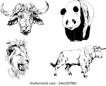 set of vector drawings of various animals, predators and herbivores, hand-drawn sketches, tattoos