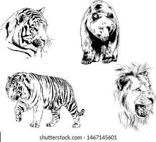 set of vector drawings of various animals, predators and herbivores, hand-drawn sketches, tattoos