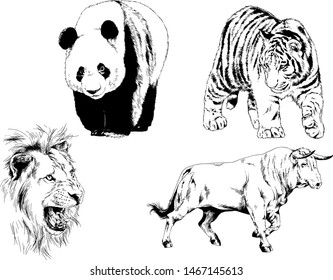 set of vector drawings of various animals, predators and herbivores, hand-drawn sketches, tattoos