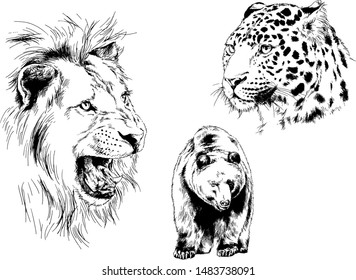 set of vector drawings of various animals, predators and herbivores, hand-drawn sketches, tattoos