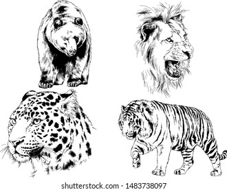 set of vector drawings of various animals, predators and herbivores, hand-drawn sketches, tattoos