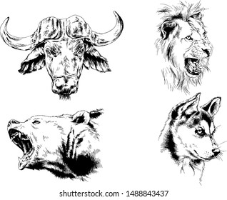 set of vector drawings of various animals, predators and herbivores, hand drawn ink tattoos