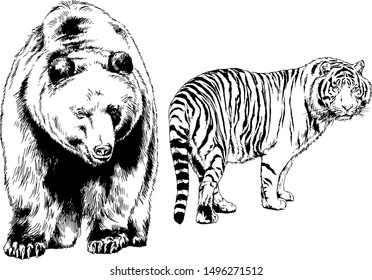 set of vector drawings of various animals, predators and herbivores, hand-drawn sketches, tattoos