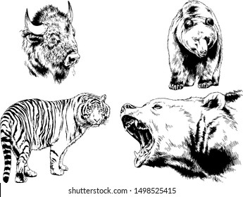 set of vector drawings of various animals, predators and herbivores, hand-drawn sketches, tattoos